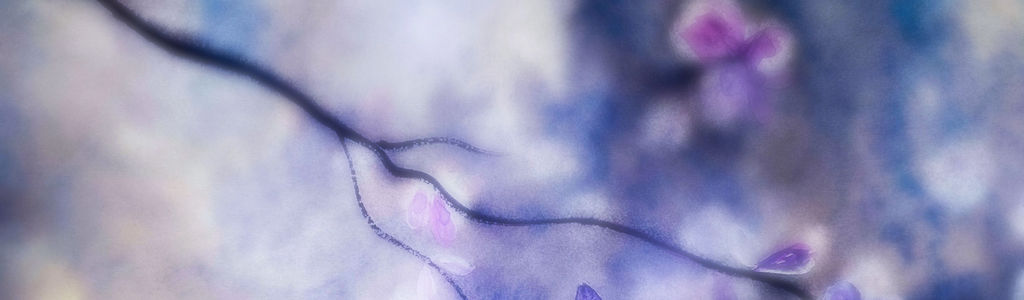 Profile Hero Background