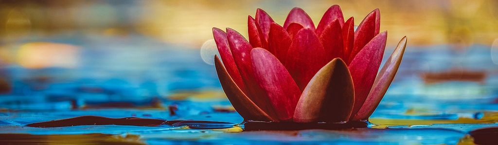 Profile Hero Background