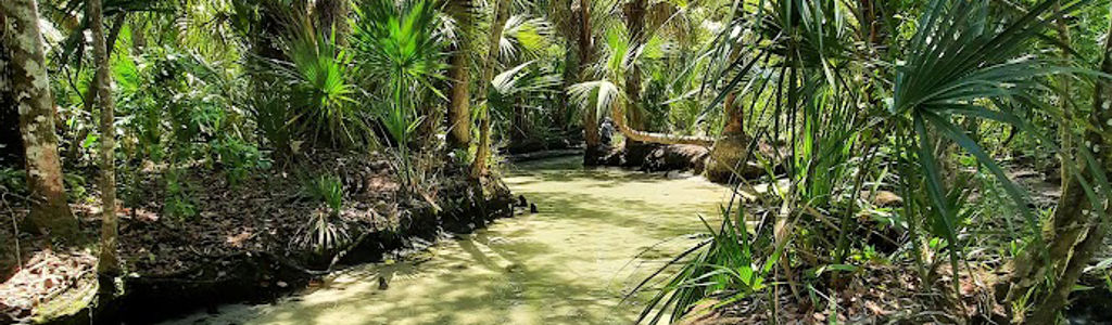 Profile Hero Background