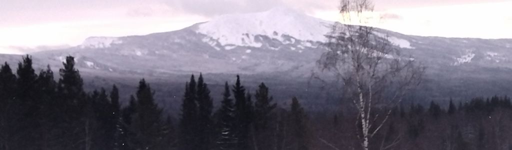 Profile Hero Background