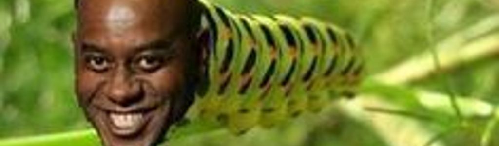 Profile Hero Background