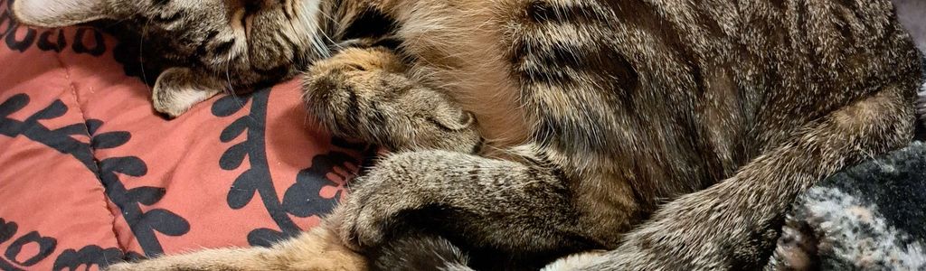 Profile Hero Background