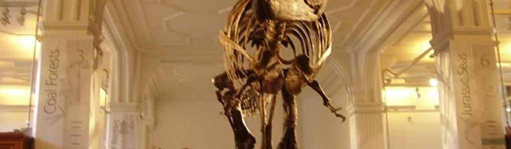 Profile Hero Background