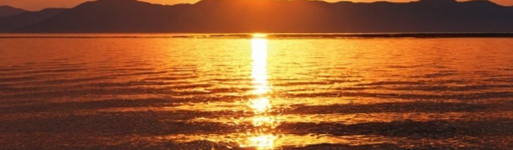 Profile Hero Background