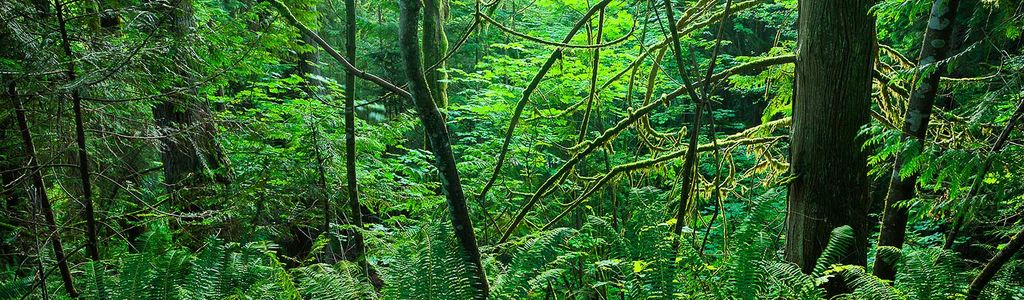 Profile Hero Background