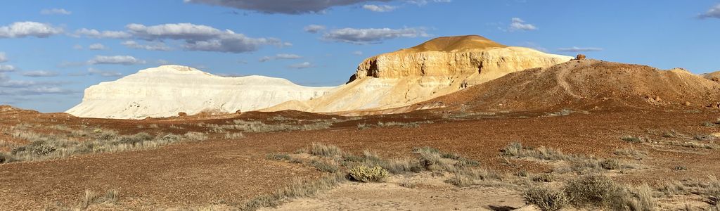 Profile Hero Background