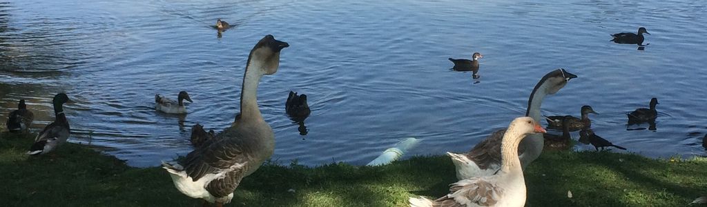 Profile Hero Background