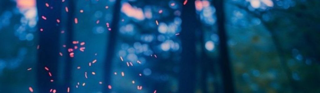 Profile Hero Background