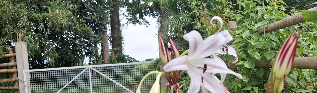 Profile Hero Background