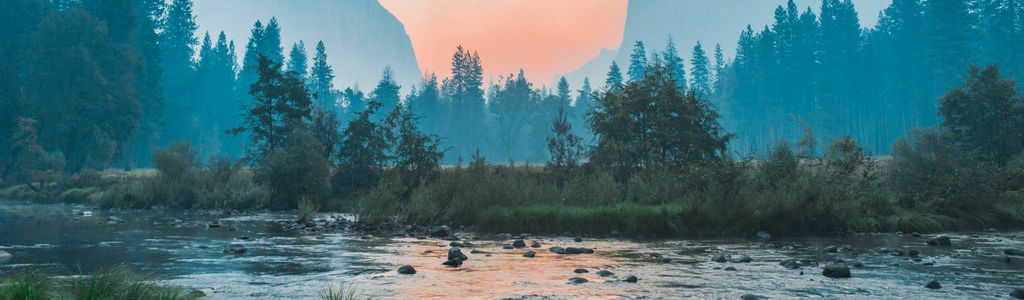 Profile Hero Background