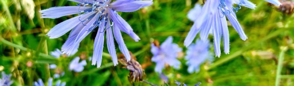 Profile Hero Background