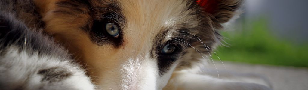 Profile Hero Background