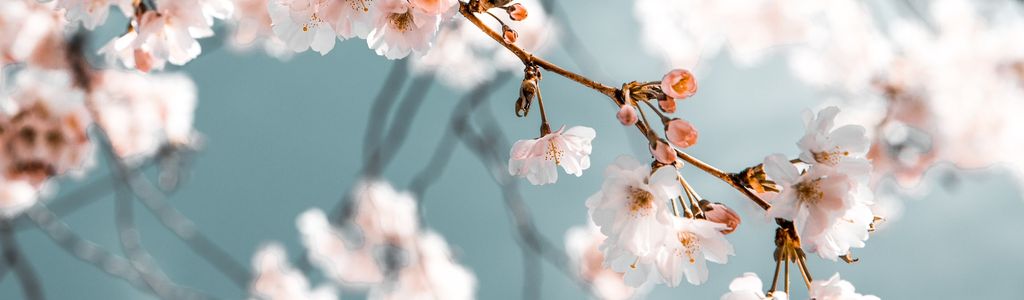 Profile Hero Background