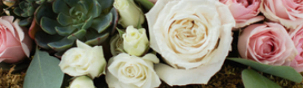 Profile Hero Background