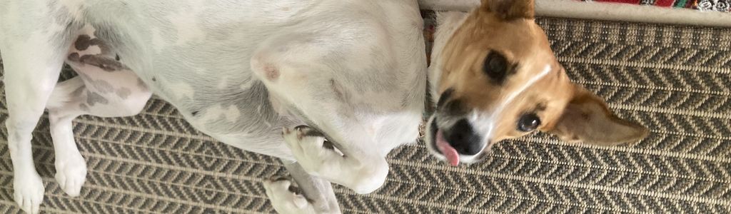 Profile Hero Background