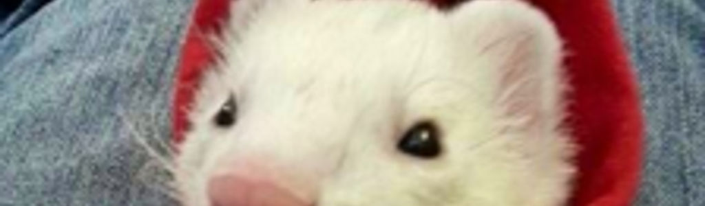 Profile Hero Background