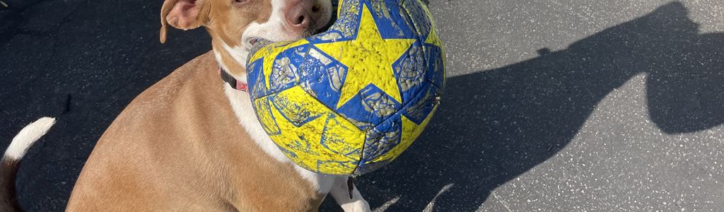 Profile Hero Background