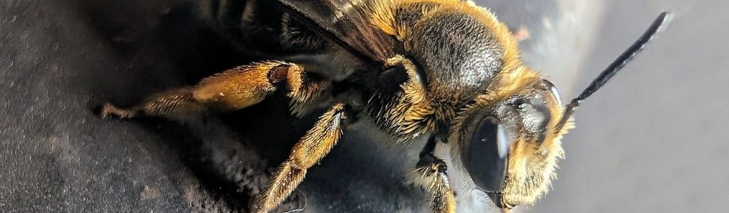 Profile Hero Background