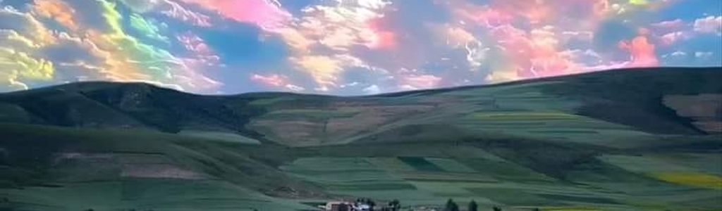 Profile Hero Background