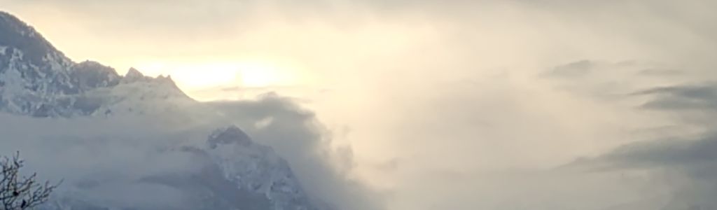 Profile Hero Background