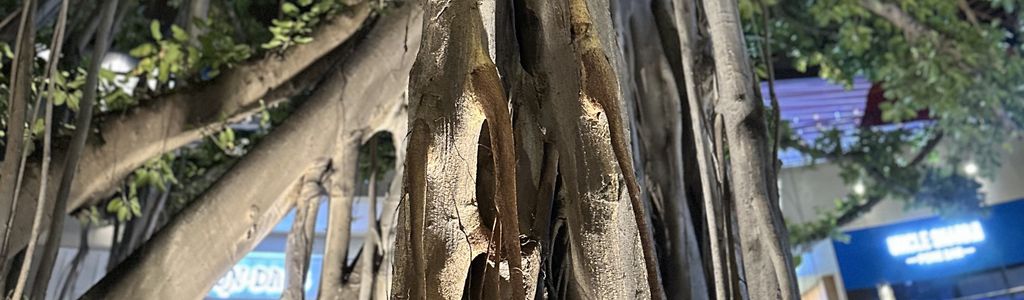 Profile Hero Background