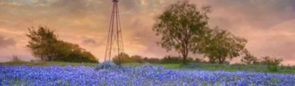 Profile Hero Background