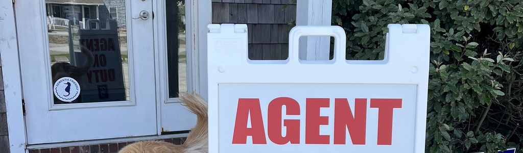 Profile Hero Background