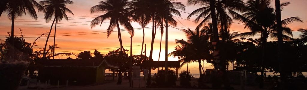 Profile Hero Background