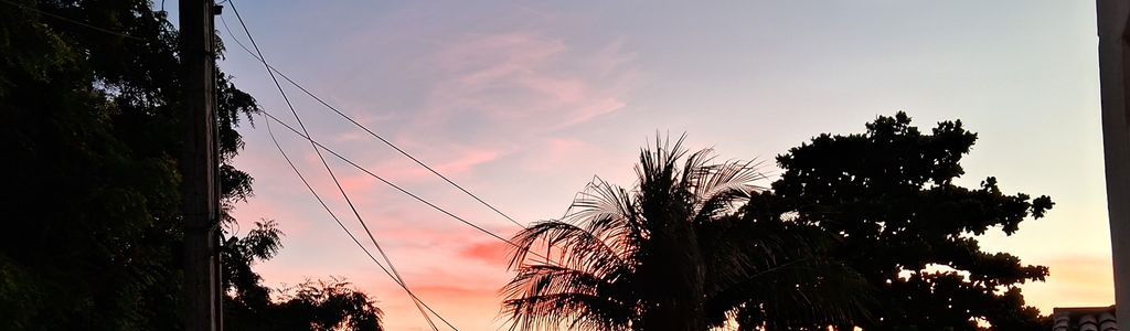 Profile Hero Background