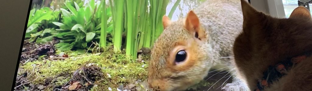 Profile Hero Background