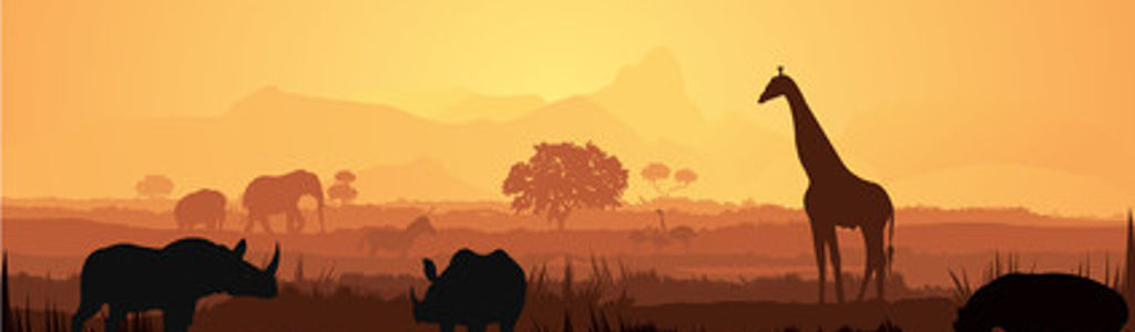 Profile Hero Background