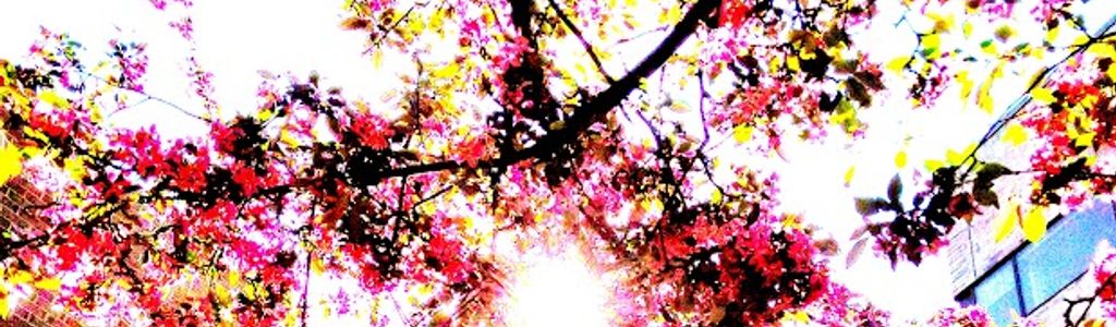 Profile Hero Background