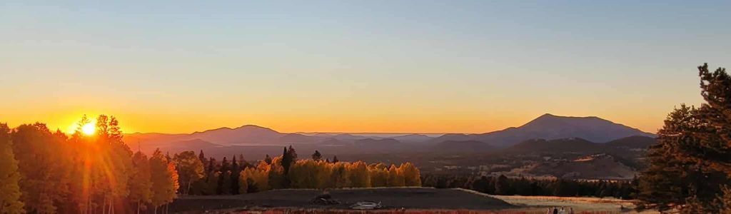 Profile Hero Background