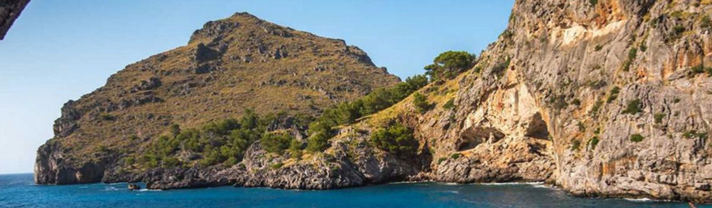 Profile Hero Background