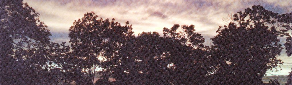 Profile Hero Background