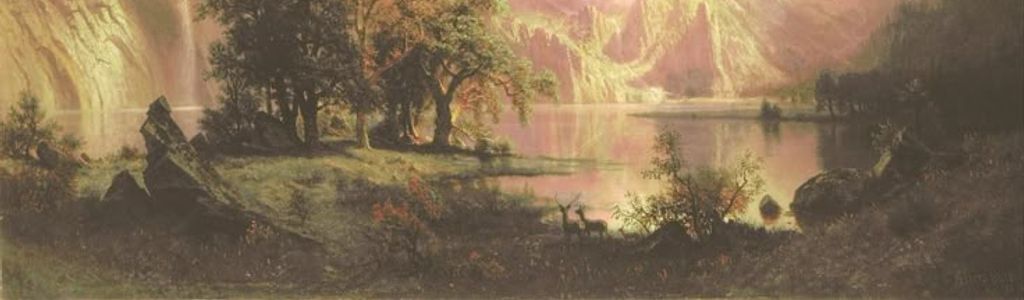 Profile Hero Background