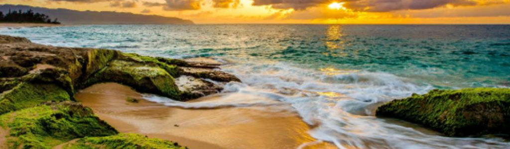 Profile Hero Background