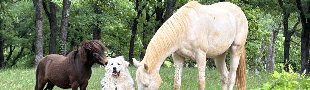 Profile Hero Background