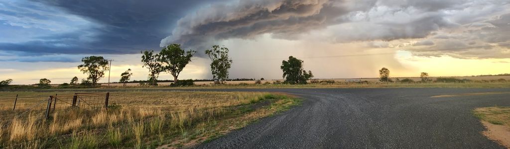 Profile Hero Background