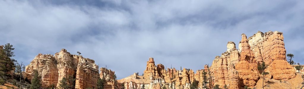 Profile Hero Background