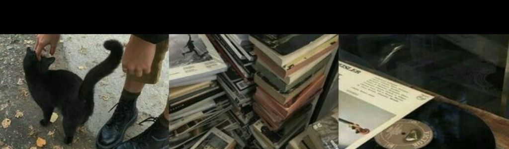 Profile Hero Background