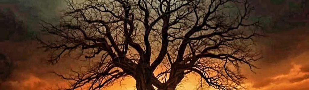 Profile Hero Background