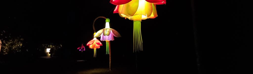 Profile Hero Background