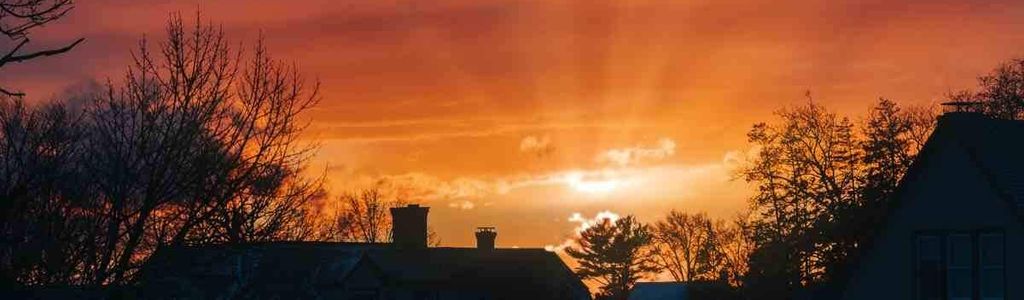 Profile Hero Background