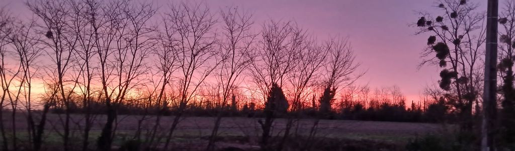 Profile Hero Background