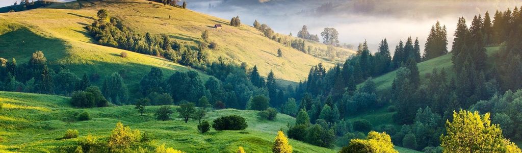 Profile Hero Background