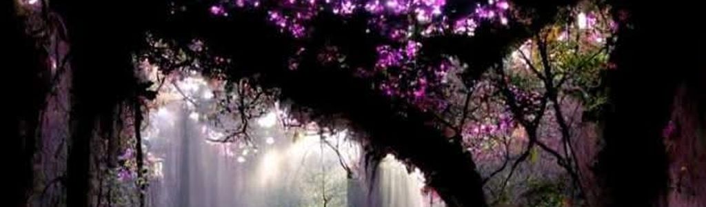 Profile Hero Background