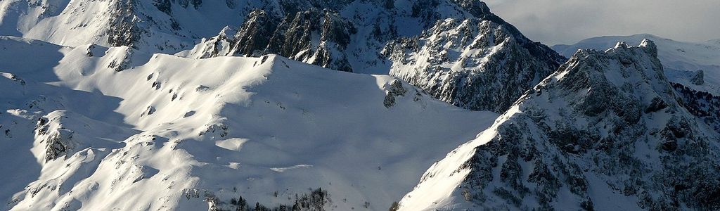 Profile Hero Background