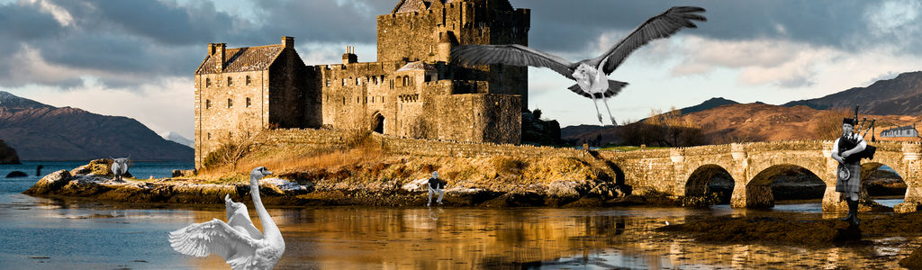 Profile Hero Background