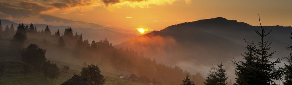 Profile Hero Background